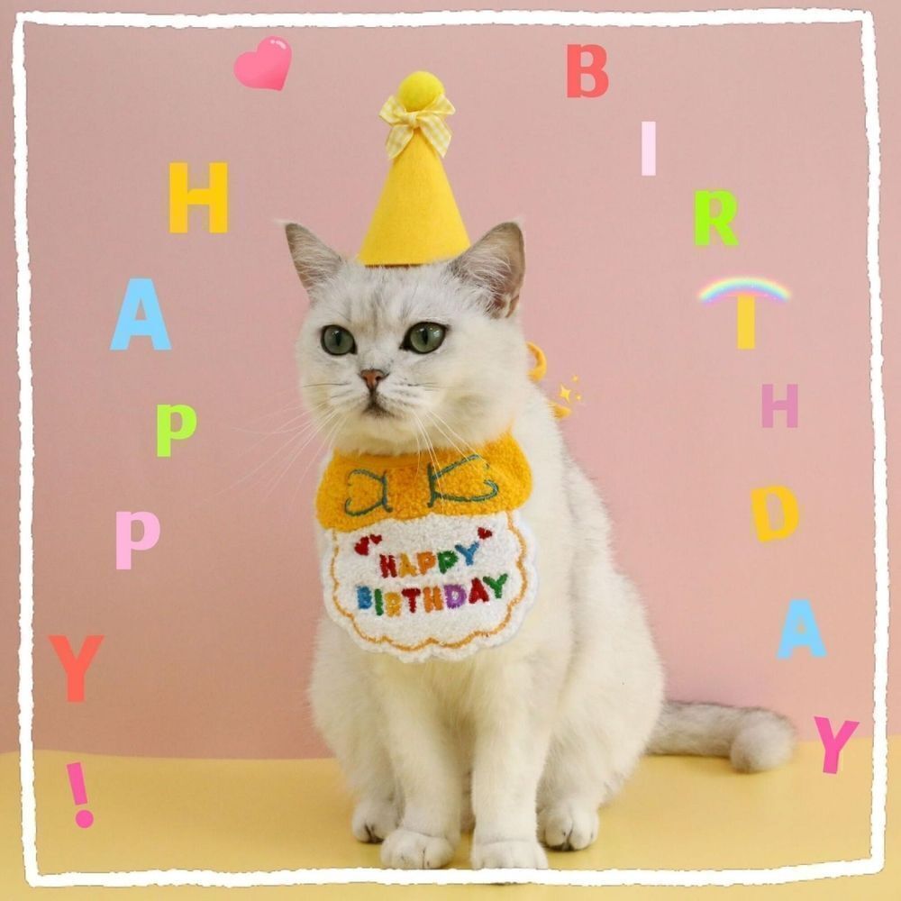 2/$20 Brand new pet happy birthday costume